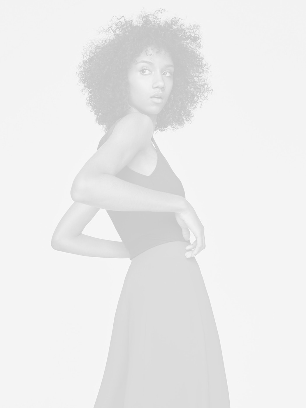 Demo media 254384382